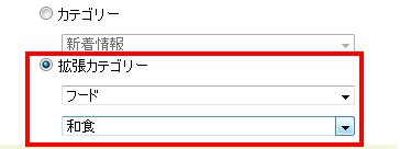 拡張カテゴリー指定時